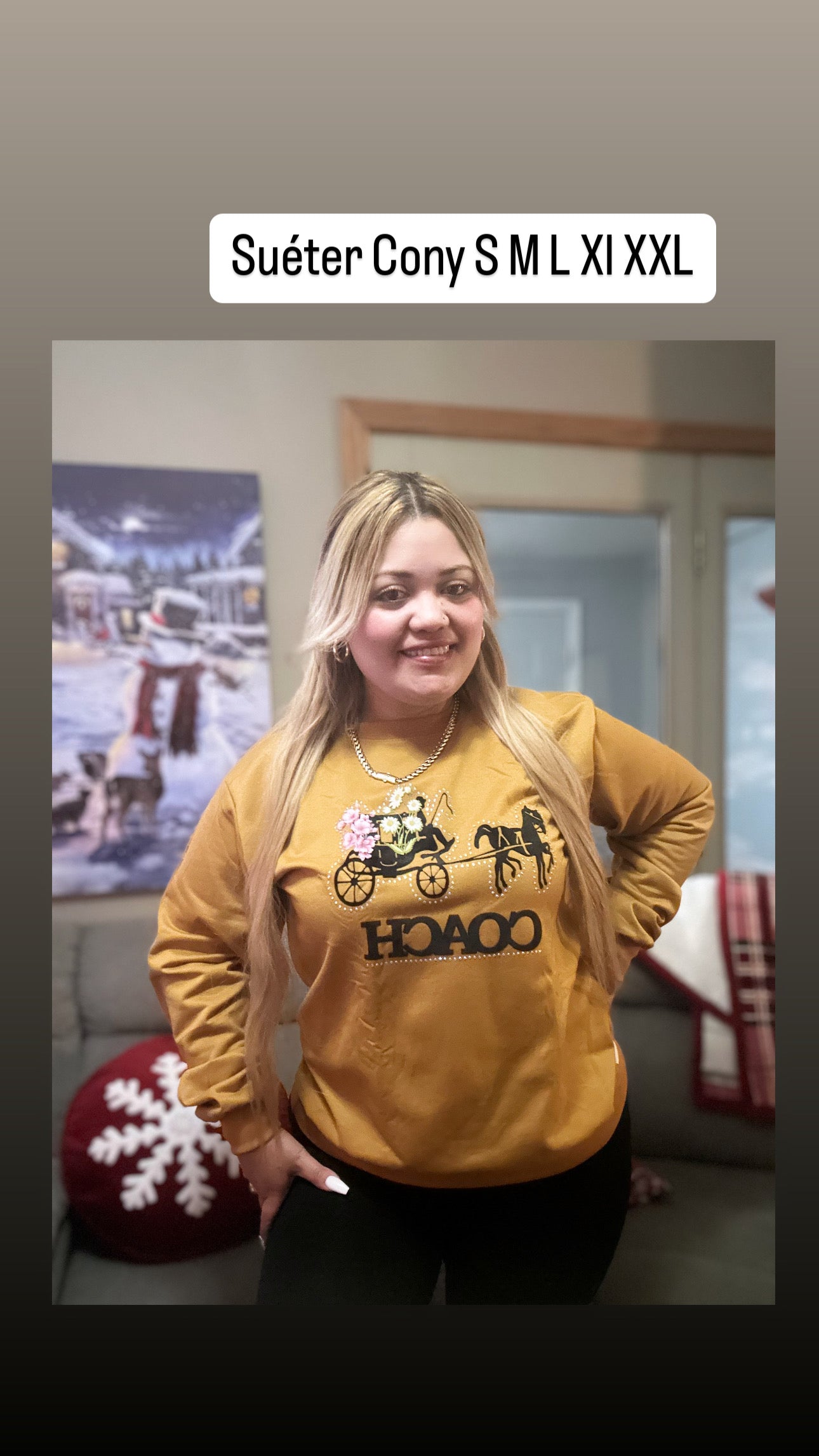 Suéter Cony